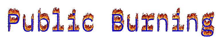 Public Burning logo
